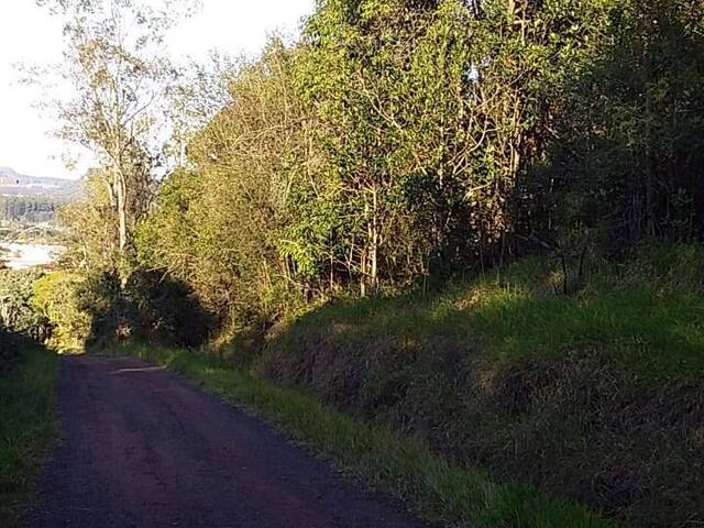 Área para Venda em Montenegro - 1