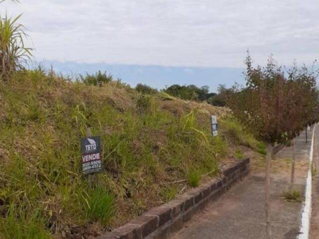 Terreno para Venda em Pareci Novo - 4