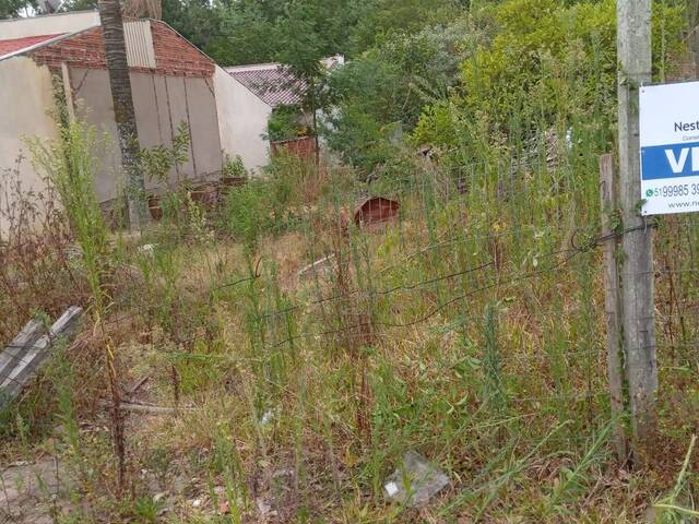 Área para Venda em Montenegro - 4