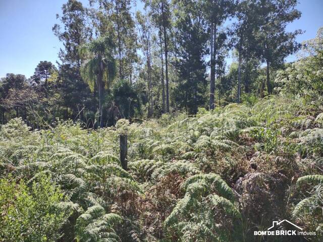 #139 - Área para Venda em Maratá - RS - 2