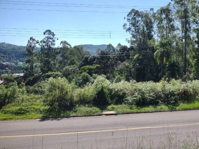 Terreno para Venda em Maratá - 3